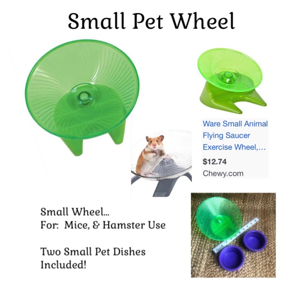 Pet Disc Green Quiet Running Wheel & Purple Dishes for Small Critters Mice Etc.